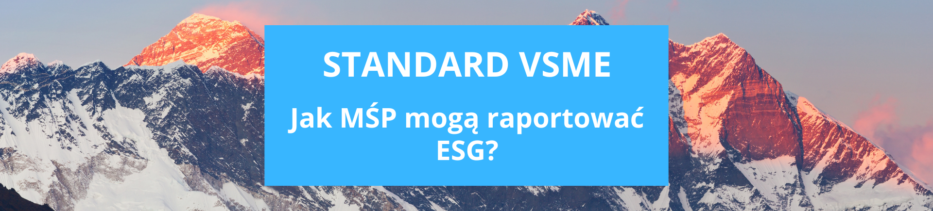 Standard VSME raportowanie ESG MŚP