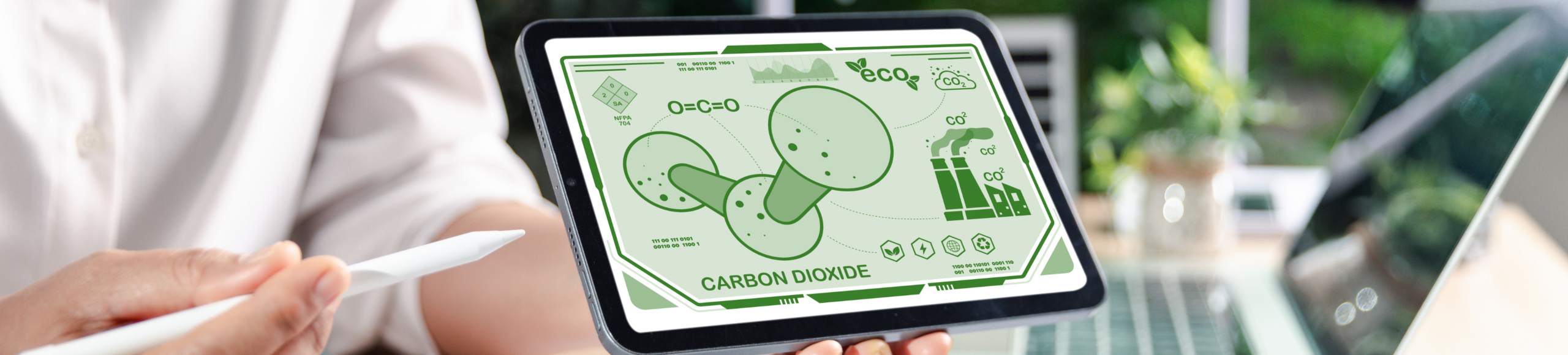 Dwutlenek węgla generowany przez przedsiębiorstwo