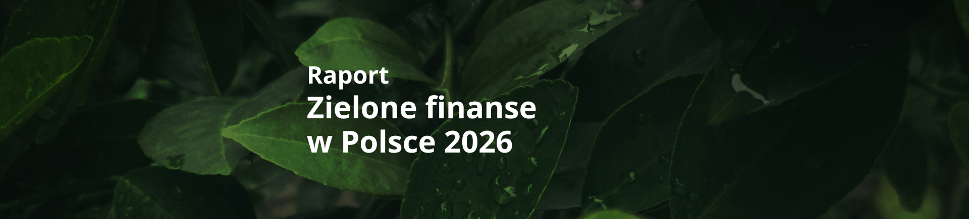 Liście i napis Raport Zielone finanse w Polsce w 2026