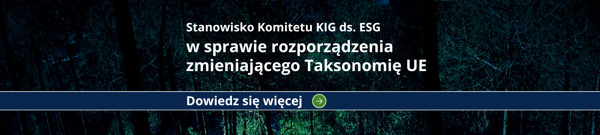 KOMITET KIG ds. ESG (1920 x 435 px) (2)