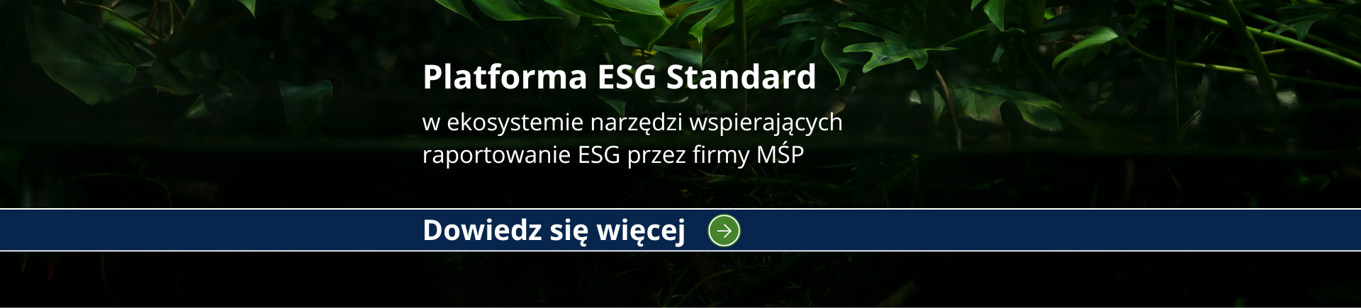 KOMITET KIG ds. ESG (1920 x 435 px) (4)