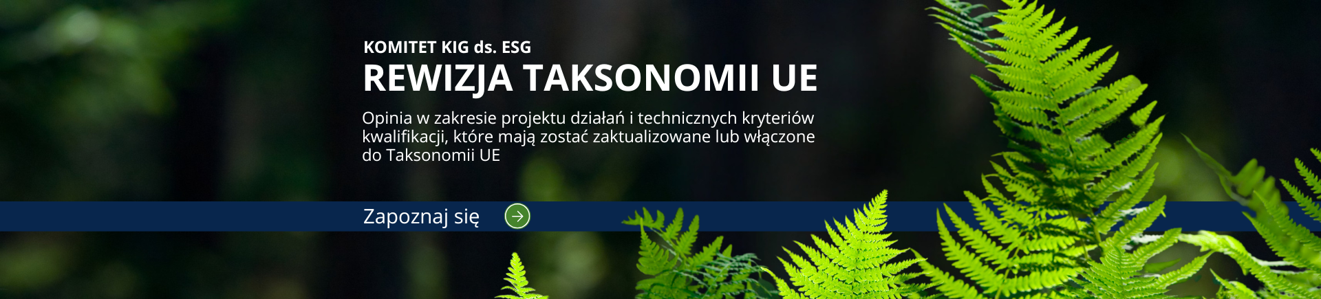 esgstandard.pl (2)