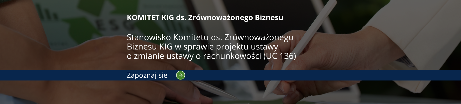 esgstandard.pl (3)